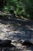 resIMG_20170711_164102_8489.JPG